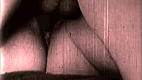 vintage erotic drawings showcase big asses and tits in retro style