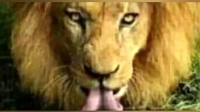 these top blowjobs deepthroats and rimjobs will drain you dry