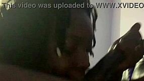 splackcity bbw face fights huge ass smother deepthroat