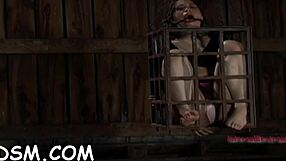 Femdom Domination Hardcore Fucking Rough Pussy Erotic European Nude Sexy Blowjob