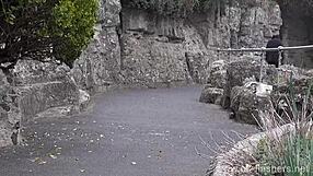 Naughty Milf Sarah Janes Public Flashing Outdoor Masturbation