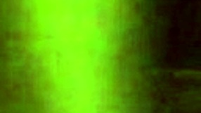 i mean, she takes direction so well during this casting blowjob, right?