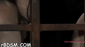 Femdom Domination Hardcore Fucking Rough Pussy Erotic European Nude Sexy Blowjob