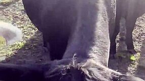 i'm a country girl finding peace in nature sun