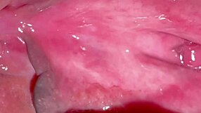 Amateur Pink Pussy Close-Up 237 Days Post-Virginity