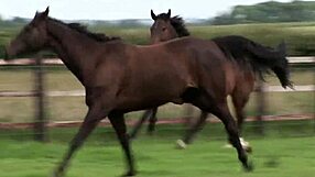 Innocent Greeting Leads to Brunette's Hardcore Creampie Cowgirl Ride