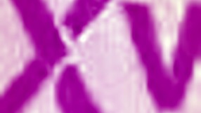 Innocent Cute Blonde Endures Disgusting Dudes' Ruthless Double Ass Pounding