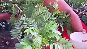 Vizinha Evang�lica Grabs Fruits with Big Ass Cameltoe Tease