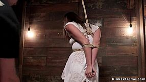 hey check this bound brunette slave hogtied pussy spread fingered rough