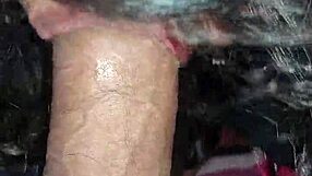 Intense blowjob overload hits hard impossible to resist exploding now