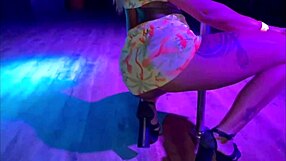 I step inside this wild swing house and see everything happening around me