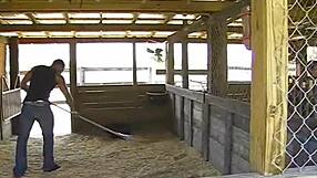 hey girl, wanna blow me out on this country ranch?