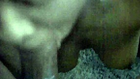 terras thickness strokes cock and sucks teasingly