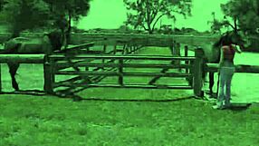 hey girl, wanna blow me out on this country ranch?