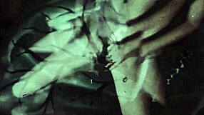 detailed antique retro scenes in vintage erotic artwork