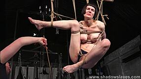 tattooed slave reversa bound in artistic ropes endures caning tit torment suspension