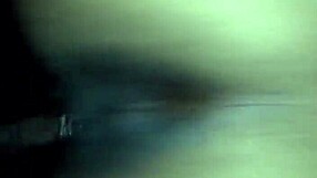 Ebony babe's wet pussy hammered doggystyle by massive black cock