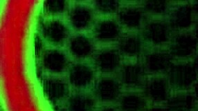 Lauren Phillips kneels as redhead slave serving masters every whim