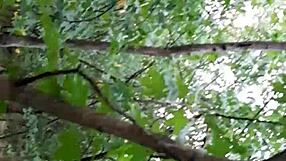 we fuck lick pussies outdoors in forest hiding our hot lesbian orgasms