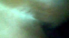 me pounding her tight ass while she licks my balls