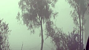 i fucked mommy's wet pussy in the forest at night