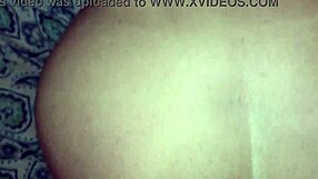 is this fat blonde milf's big ass begging for bareback doggy?