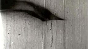 Vintage Erotic Art Featuring Retro Hairy Beauties