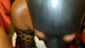 Stormy sucks black dick like a hungry gilf granny.