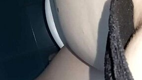 what noises is gretala making from the toilet today?