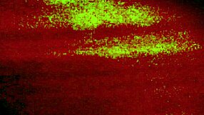 colombian stepsis upskirts bare pussy compilation??