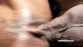 Hey, petite pornstar September loves shaking booty on that monster BBC!