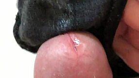 I can't resist rubbing my throbbing cock on girlfriend's dirty cum-stained panties