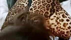 french milf deepthroats rims in red satin leopard bodysuit heels pov