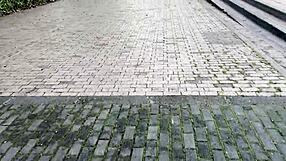 i meet estefani that crazy colombian whore sucking my balls and ass pov