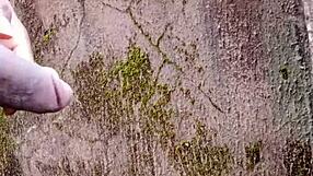 chubby ebony studs unleash monster cocks in outdoor peeing frenzy