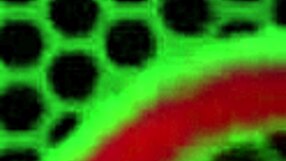 roxie ray dominates sara jay in strap-on power play session