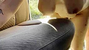 big titty milf hooker mckenzie gold orgasms hard from customer's doggystyle pounding outdoors