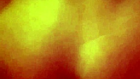 monika fox homemade anal... blowjob, prolapse n pee drink... oh god