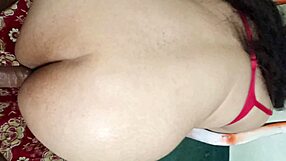 stepmom's fat ass pounded by desi cock on christmas as she screams in pleasure