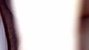 thick pawg bounces her fat ass reverse cowgirl on throbbing cock