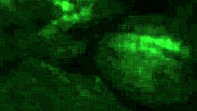 hairy phat pussy ebony milf spreads wide for black cock pounding