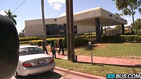 spanish babes abella anderson and ava addams in wild orgy fuck