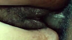 hairy phat pussy ebony milf spreads wide for black cock pounding