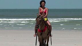 ever wondered how hairy latina pussy takes mmf pounding outdoors?