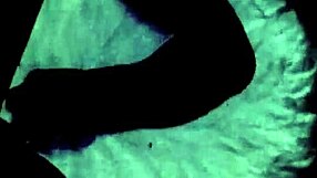 dark lantern vintage girls flaunt hairy beavers in nature wildness!