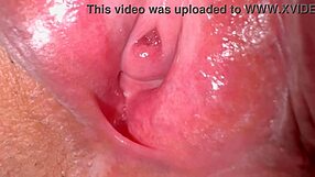 Amateur Japanese Milf's Shaved Pink Pussy Closeup 336 Days Post Virginity Loss Licked Wet