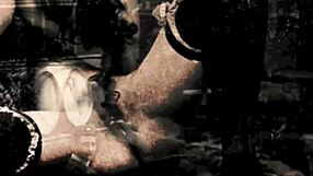 dark lantern vintage girls flaunt hairy beavers in nature wildness!