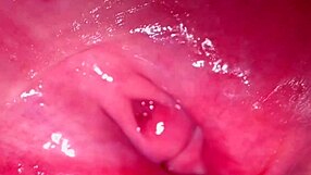 Amateur Japanese Milf's Shaved Pink Pussy Closeup 336 Days Post Virginity Loss Licked Wet
