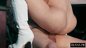 emma rose's monster cock throbs as horny italian transsexual begs to fuck