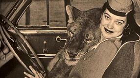 dark lantern vintage girls flaunt hairy beavers in nature wildness!